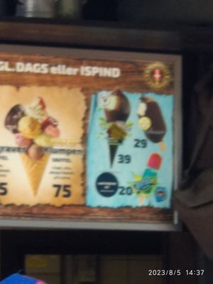 Vegan ice cream out of stock everywhere at Legoland Resort in Billund