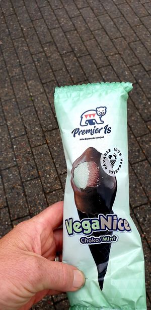 VegaNice Cream at Legoland Resort in Billund