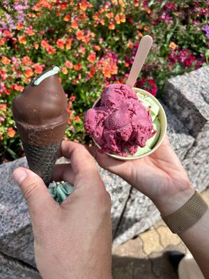 Mint choc Ice cream and sorbet  at Legoland Resort in Billund