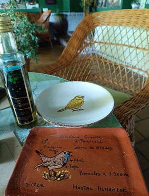Platos y aceite local at Hostal Almanzor Gredos Avila in Navarredonda De Gredos