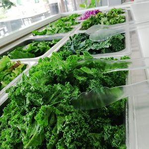 From our farm to your plate! We have various types of leaves and grains to build your custom-made pita, salad or wrap! at Salma in Santa Ana