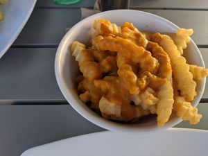 Regular frozen crinkle cut fries and awful cheeze sauce at Green Culture in New Port Richey