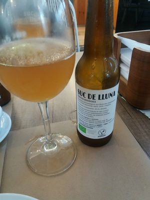 Vegan! at Suc de Lluna BioCafe in Valencia