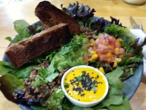 Burrito bowl at The Healthy Hub Cafe in Cairns