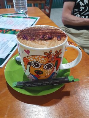 . at The Healthy Hub Cafe in Cairns