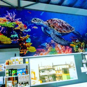 New beautiful muriel at The Healthy Hub Cafe in Cairns