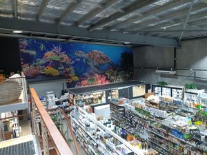 Overview at The Healthy Hub Cafe in Cairns