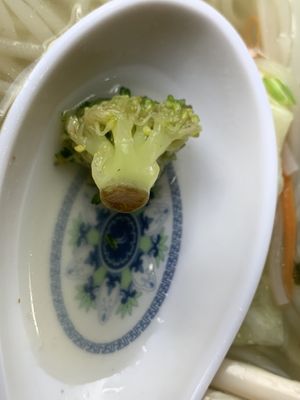 Brown end of broccoli florets.  at Pho Mekong House of Noodles in Utica