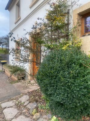  at Villa Greta in Swierzawa