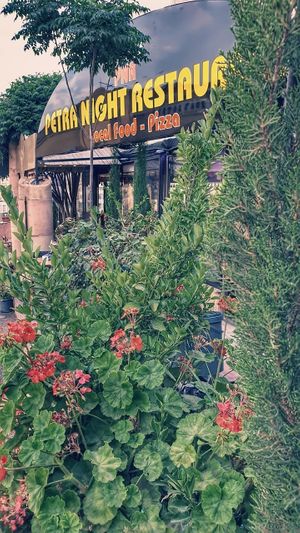 Welcome at Petra Night in Wadi Musa