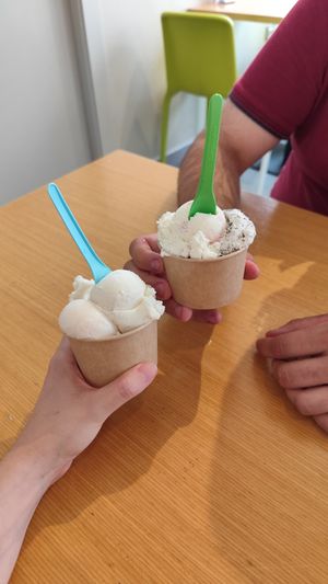 El vegano es el de la cuchara azul. De banana y paraguayo at Holy Cow in Leon