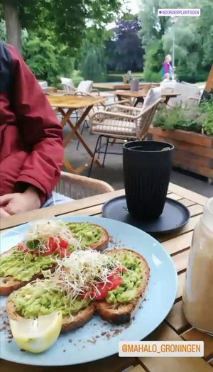 Avocado toast at Mahalo in Groningen