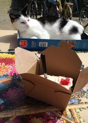  at Mahalo in Groningen