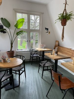 Inside  at Mahalo in Groningen