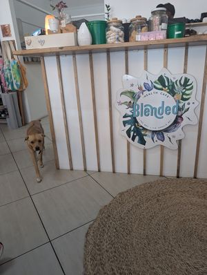  at Blended in Cape Town