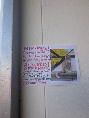 Lost animal poster at the restaurant at Blended in Cape Town