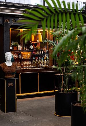 Hoppers Garden Bar  at Hoppers Garden Bar in Auckland