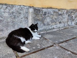  at Good Mood Food in Kuressaare