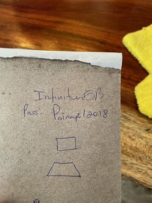 Thanks painapol for your Perfect vegan smoothies   at Painapol in Holbox