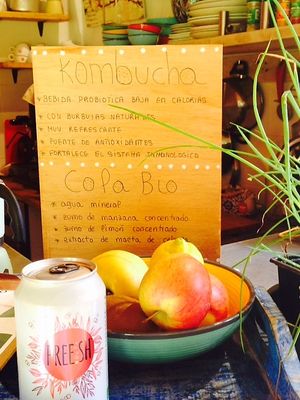 Organic COLA & KOMBUCHA.. at Vita Organica Slow Food & Liv (-ing) in Busturia