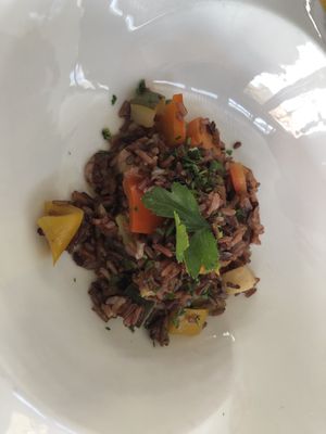   at Lacroma in Dubrovnik