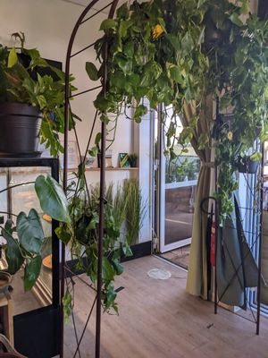 Interior at AmaZone Cafe in Moliets