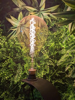 Decor at AmaZone Cafe in Moliets