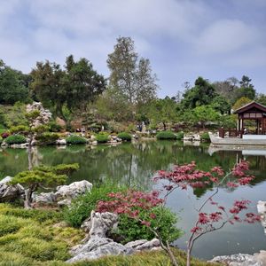 Chinese Gardens at The Huntington Rose Garden in San Marino