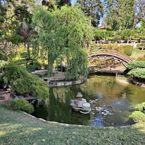 Japanese Gardens at The Huntington Rose Garden in San Marino