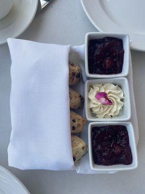Currant scones with vegan butter and jam. Loved these.  at The Huntington Rose Garden in San Marino