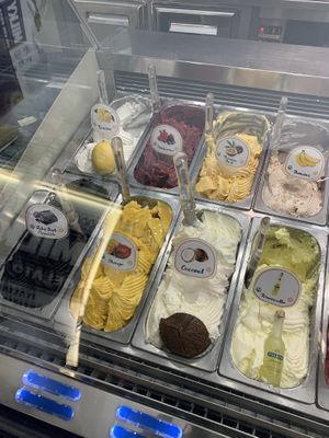 Vegan options at Gelato Artigianali in Rome