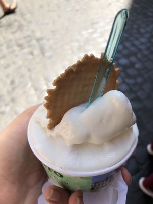 Vegan lemon gelato! Refreshing on a 100° day! Very sweet for me, but I am not used to sweets. at Gelato Artigianali in Rome