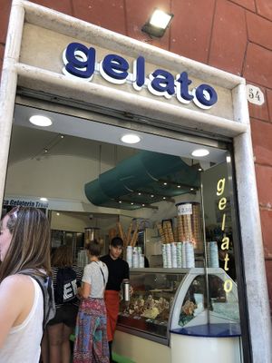 Amongst all the gelato shops surrounding Trevi, the first we stopped in had tons of labeled vegan gelato! at Gelato Artigianali in Rome