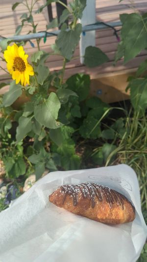 Vegan chocolate croissant at Canela in Calgary