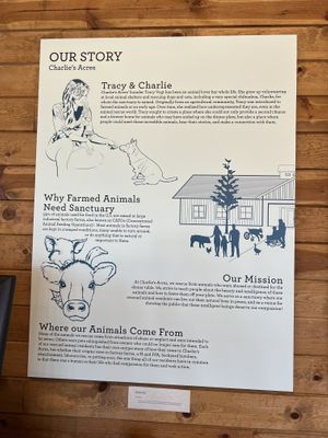   at Charlie's Acres Farm Animal Sanctuary in Sonoma