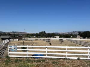  at Charlie's Acres Farm Animal Sanctuary in Sonoma