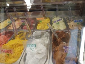 Ice cream at Selvática in Barcelona