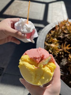 yum!  #Veganuary at Milkissimo Gelato in San Diego