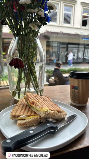 Vegan sandwich (may have been called toast) and vegan latte   at Racoon Coffee & More in Alesund