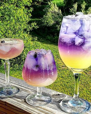 The Age of Aquarius drink at Rad.ish Street Food in Williamsburg