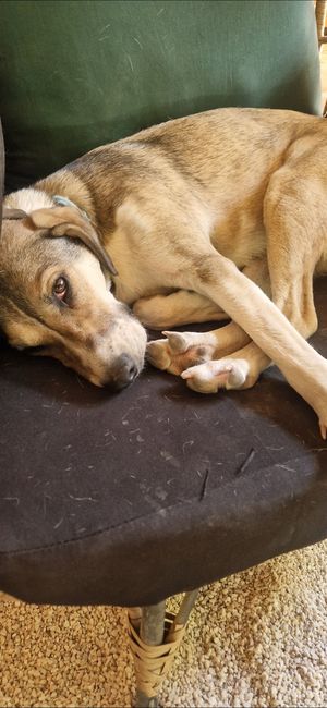  at Once:Once in Antigua