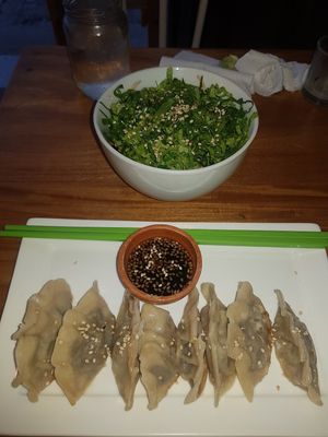 Fantastic dumplings!! at Once:Once in Antigua