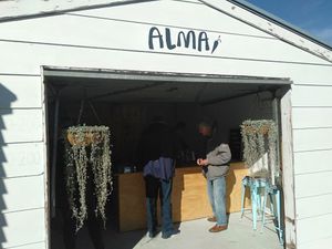 Tucked away at ALMA in Matakana