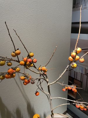   at Injoy Etsunou in Tokyo