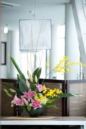 悦納 at Injoy Etsunou in Tokyo