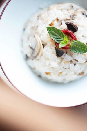 perigord truffle rice ¥8000 course at Injoy Etsunou in Tokyo