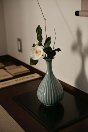 Photo of Japanese tea ceremony in Etsunou at Injoy Etsunou in Tokyo