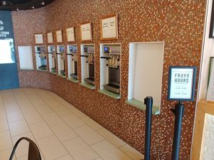 Froyo at Cold Spoon in Sterling