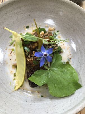 Buckwheat risotto  at Chidakasha Skye in Isle Of Skye