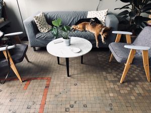 Dla four-feeterów woda i chrupki at Miło bistro in Warsaw